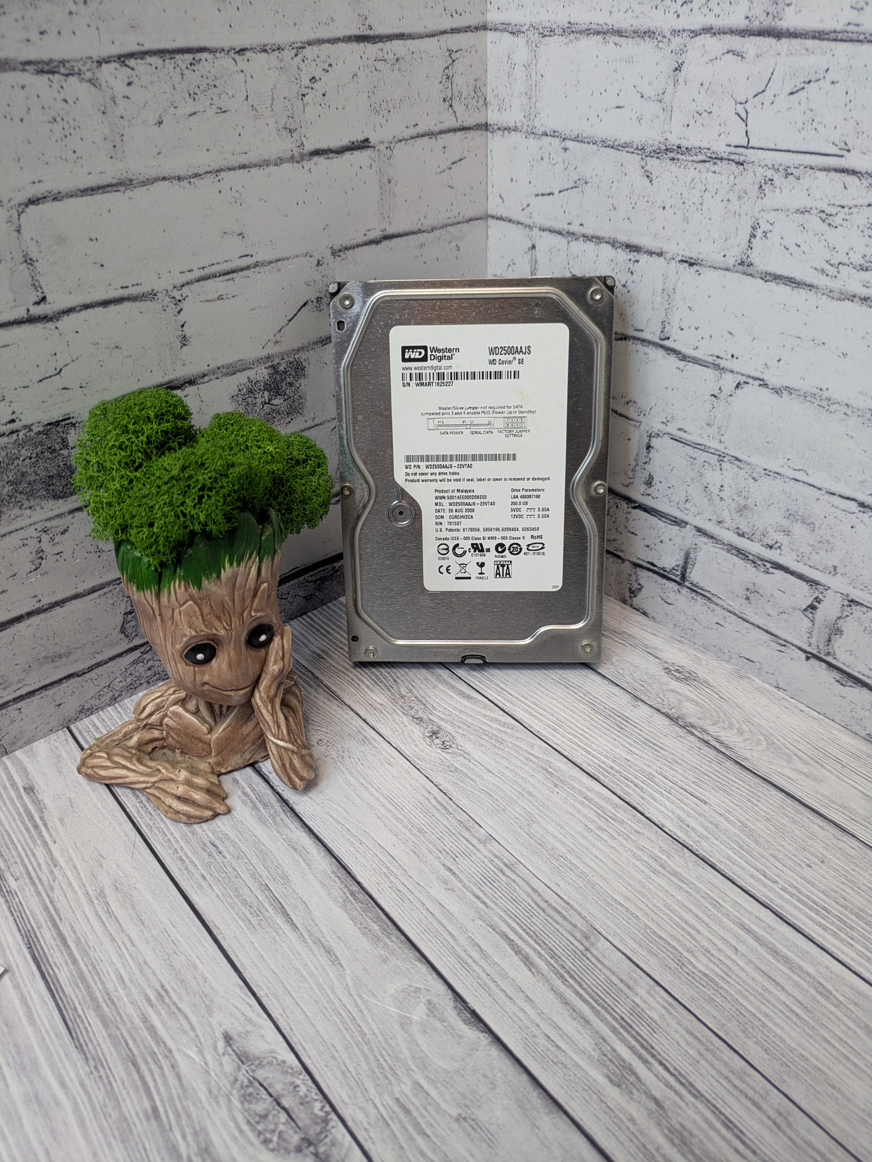 Жесткий диск 250GB WD Caviar SE Model : WD250aajs